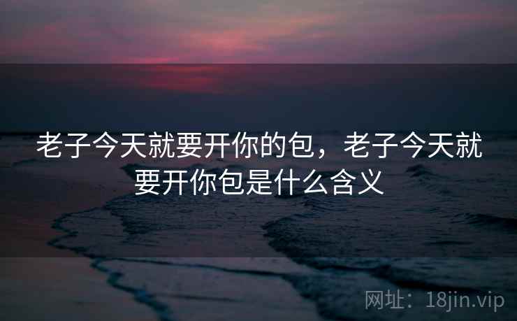 老子今天就要开你的包，老子今天就要开你包是什么含义