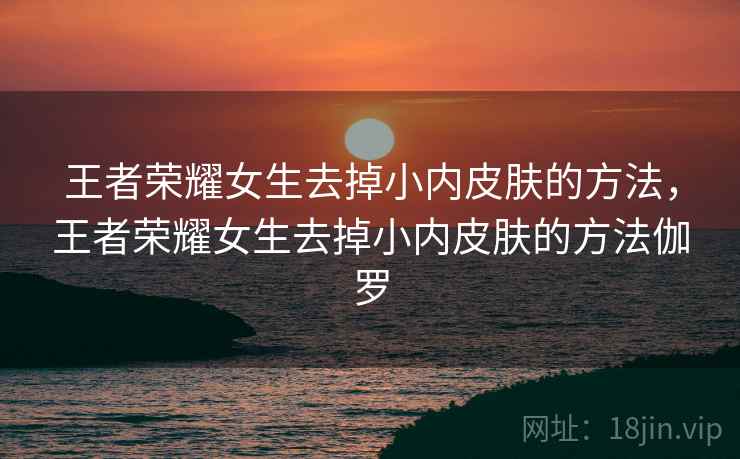 王者荣耀女生去掉小内皮肤的方法，王者荣耀女生去掉小内皮肤的方法伽罗
